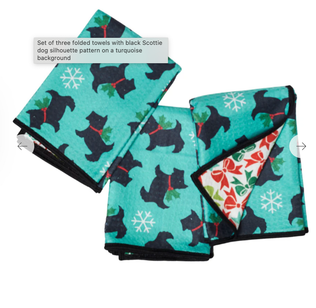 Mighty Mini Dish Cloths