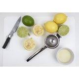 Lemon & Lime Juicer