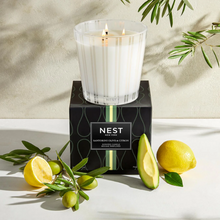 NEST Candle - Santorini Olive & Citron