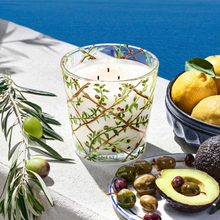NEST Candle - Santorini Olive & Citron