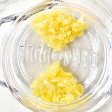Garlic Twister 4th Generation - Assorted Color Mix