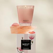 NEST Candle-Himalayan Salt & Rosewater