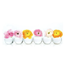 Caterpillar Clear Glass Bud Vase Long. Small And Large