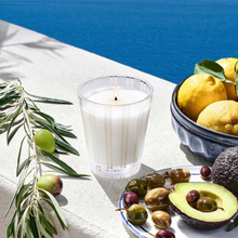 NEST Candle - Santorini Olive & Citron