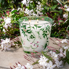 NEST Candle - Indian Jasmine