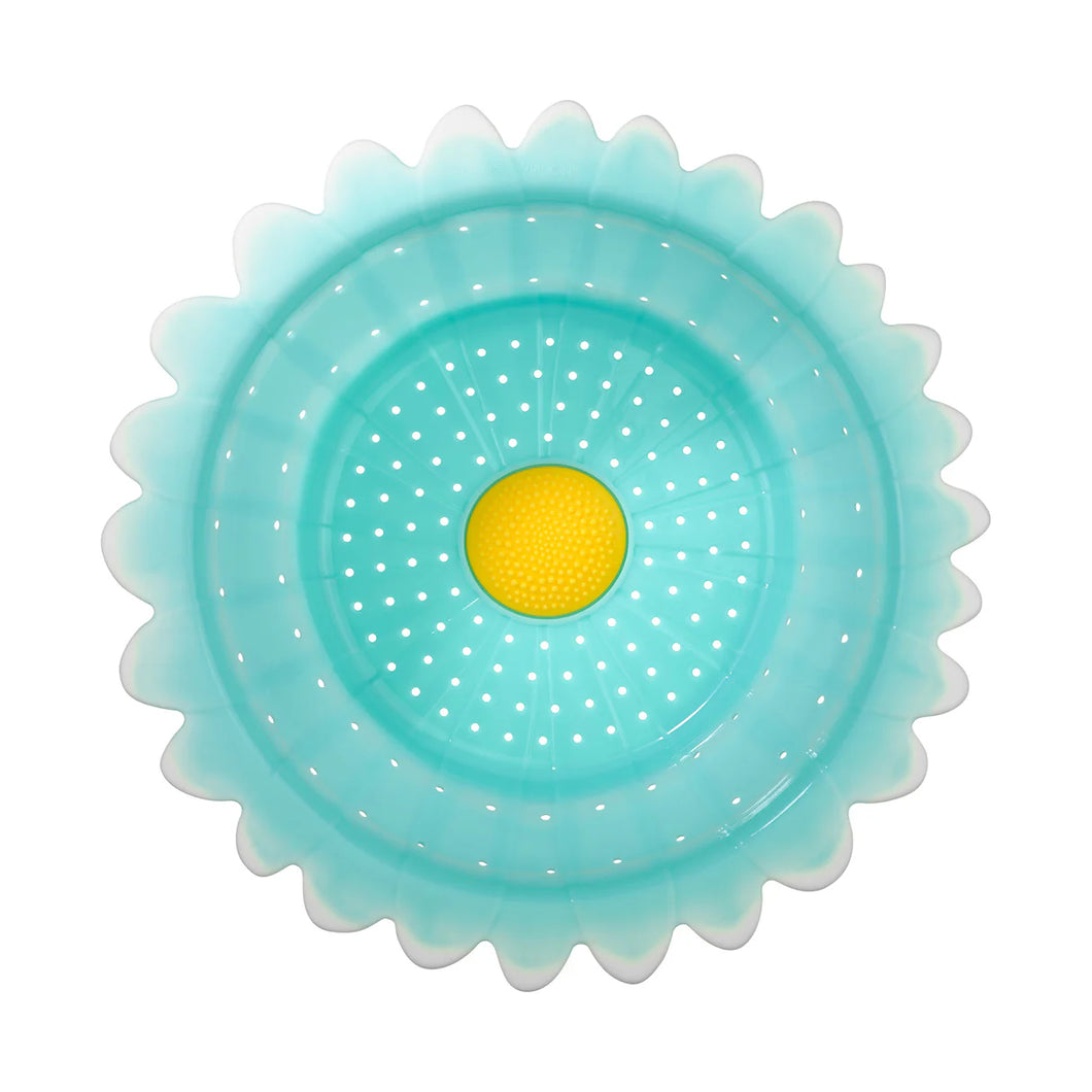 Daisy Collander
