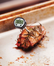 Instant-Read Digital Meat Thermometer