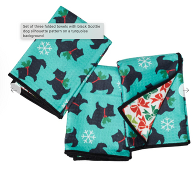 Mighty Mini Dish Cloths
