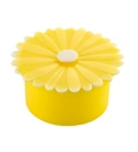Daisy Containers-Small