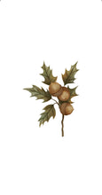 Acorn Cluster - Printed Guest Towel - Fall / Thanksgiving
