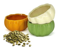 Pumpkin Dishes 6oz