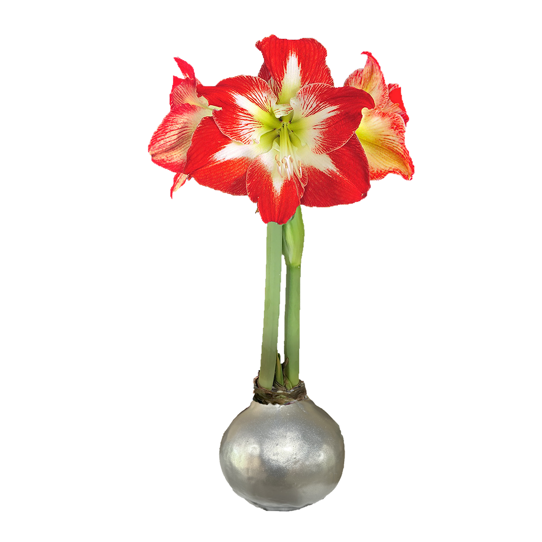 Minerva Silver Lacquer Base