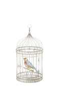 Song Bird - Printed Guest Towel