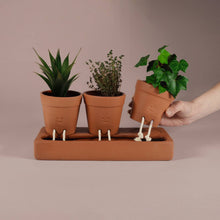 Trio Self Care Planter| Self Watering Plant Pot | Home Decor