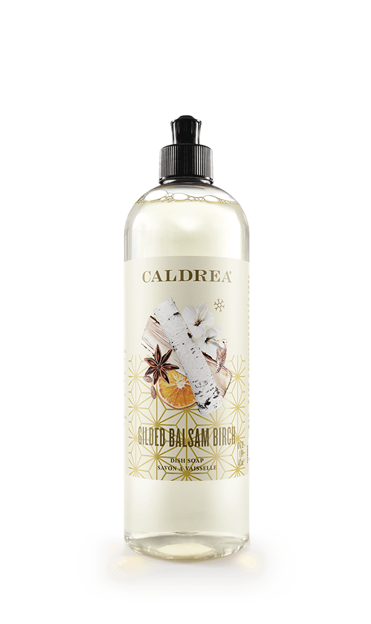 Dish Soap-Gilded Balsam Birch