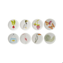 Animal Plate 6"