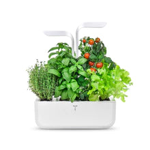 Veritable Indoor Garden